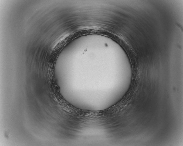 X0000100870967200807071059