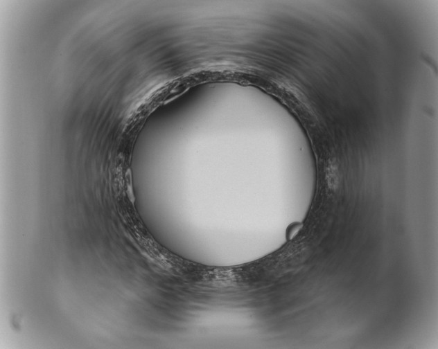 X0000100870968200807071059