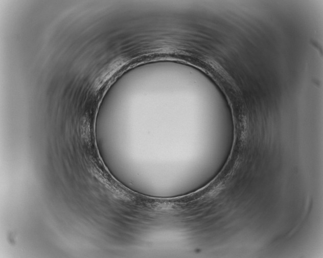 X0000100870969200807071059