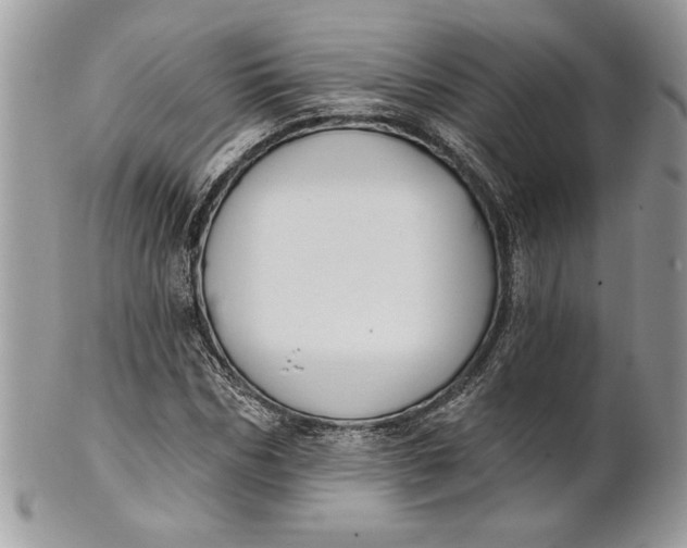 X0000100870970200807071058