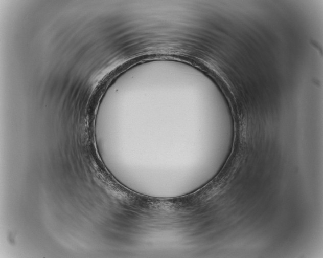 X0000100870971200807071058