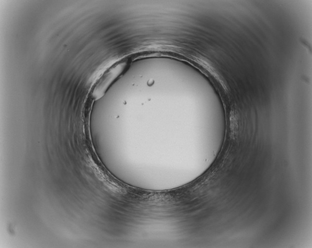 X0000100870972200807071058