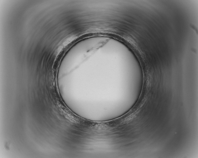 X0000100870974200807071058