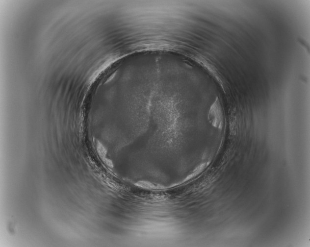 X0000100870975200807071058