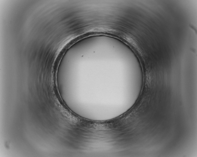 X0000100870976200807071058