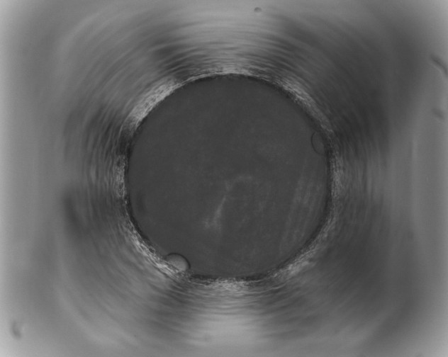 X0000100870977200807071058