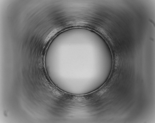 X0000100870978200807071058