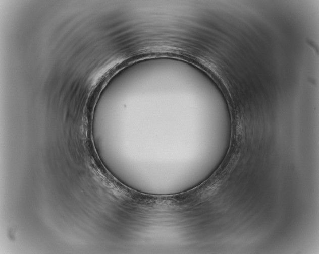 X0000100870979200807071058