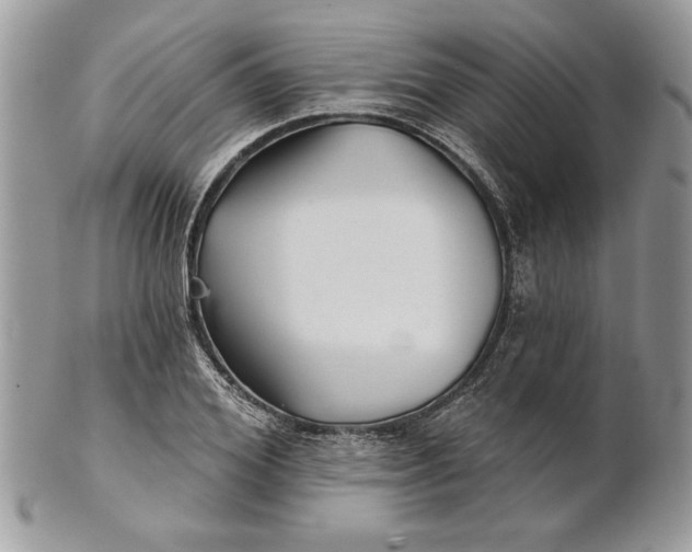 X0000100870980200807071058