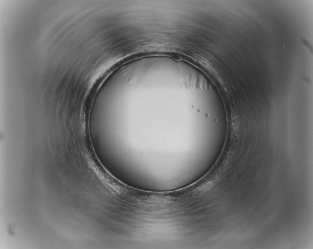 X0000100870981200807071058