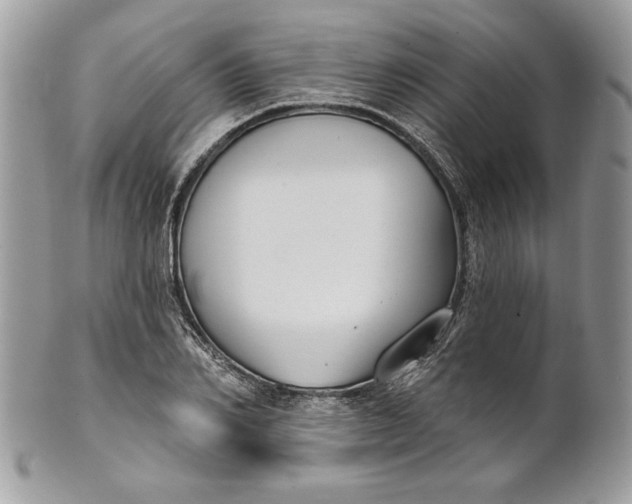 X0000100870982200807071058