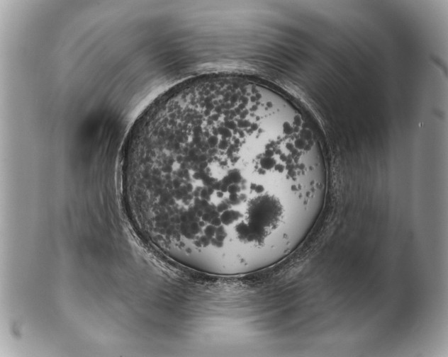 X0000100870983200807071058