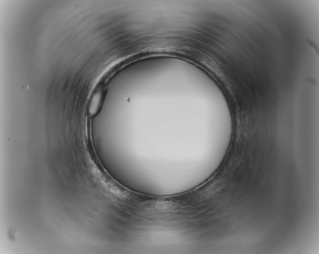 X0000100870984200807071058