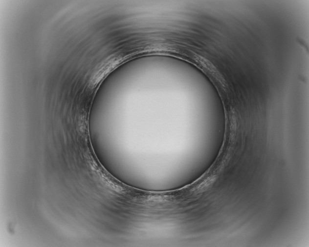 X0000100870985200807071058