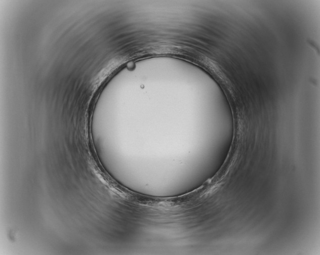 X0000100870986200807071058