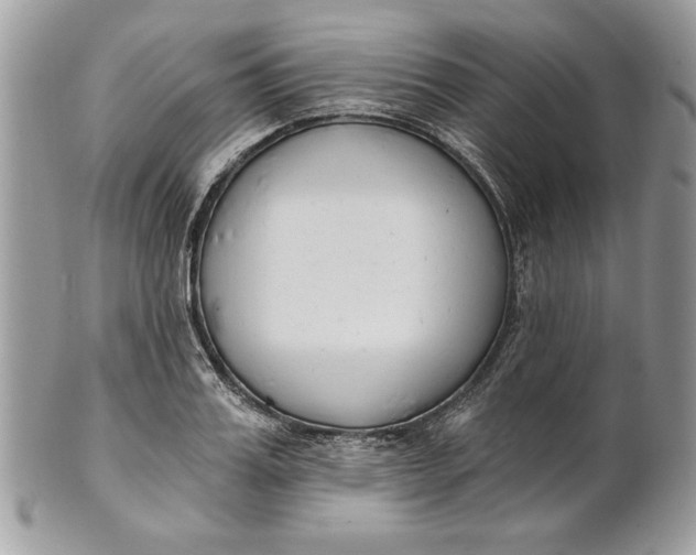 X0000100870987200807071058