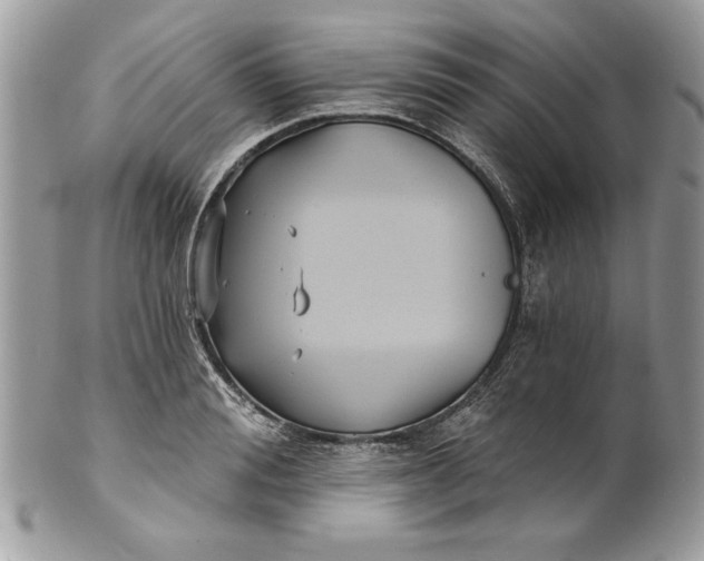 X0000100870988200807071058