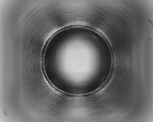 X0000100870989200807071058