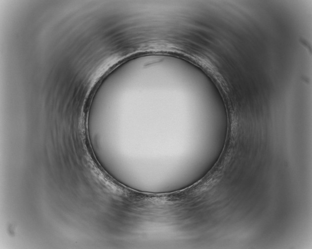 X0000100870990200807071058