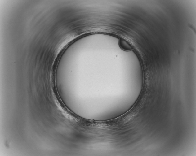 X0000100870991200807071058