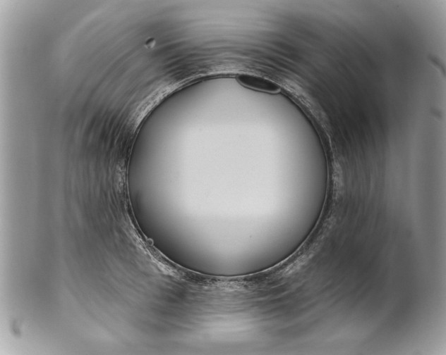 X0000100870993200807071058