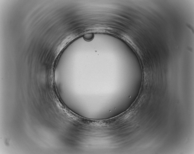 X0000100870994200807071058