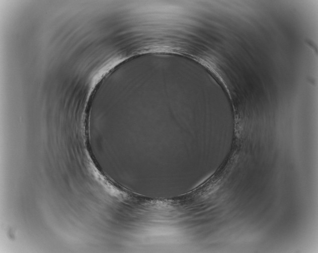 X0000100870995200807071058