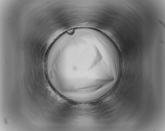 X0000100870998200807071058