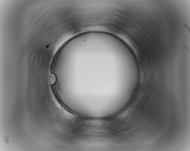 X0000100870999200807071058