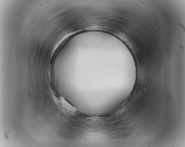 X0000100871000200807071058