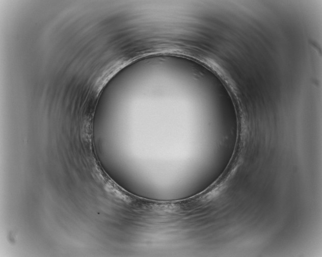 X0000100871001200807071058