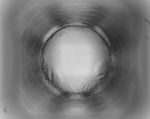 X0000100871002200807071058