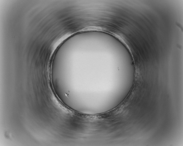 X0000100871003200807071058