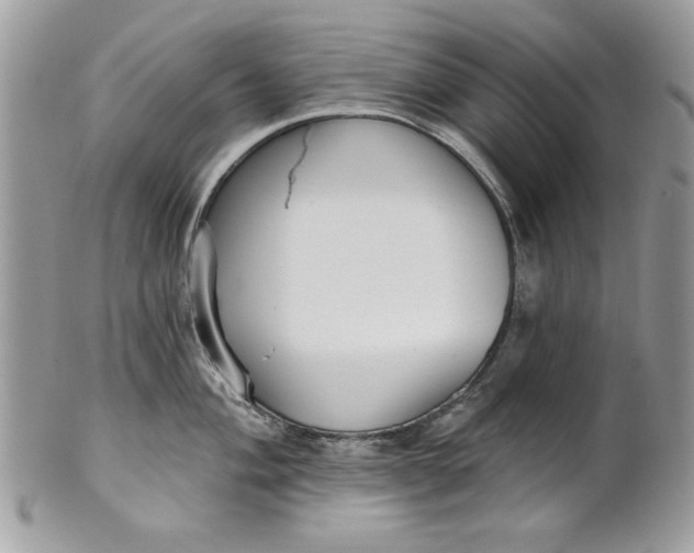 X0000100871004200807071058