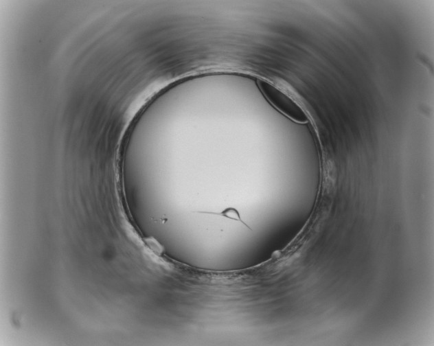 X0000100871005200807071058