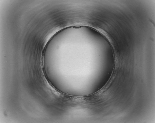 X0000100871006200807071058