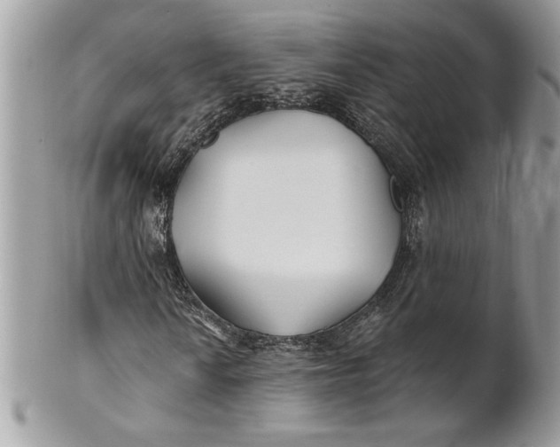 X0000100871010200807071057