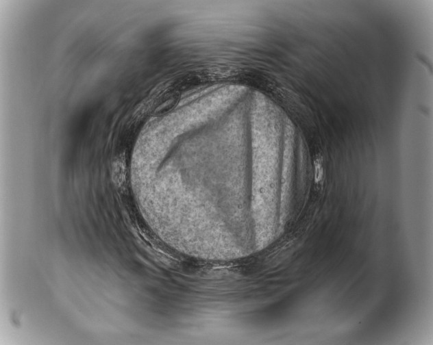 X0000100871011200807071057