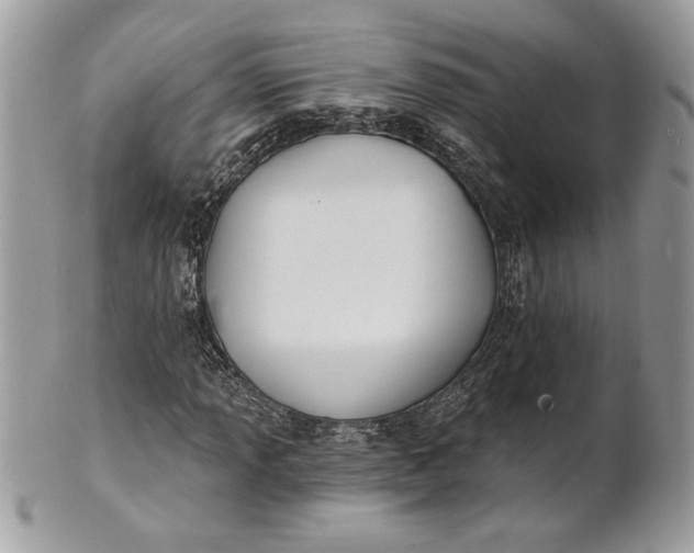 X0000100871013200807071057