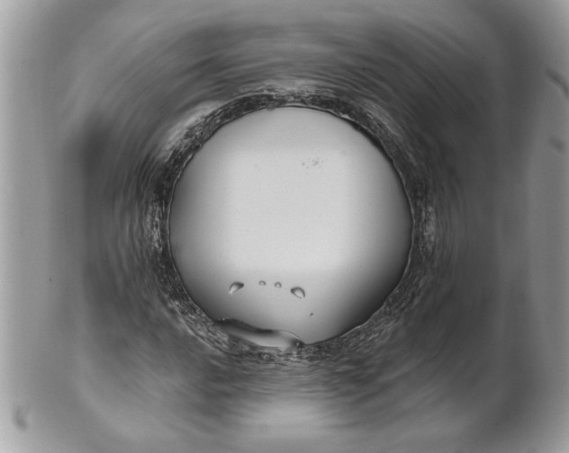 X0000100871016200807071057