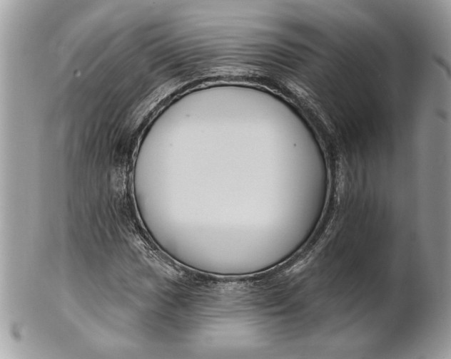 X0000100871017200807071057