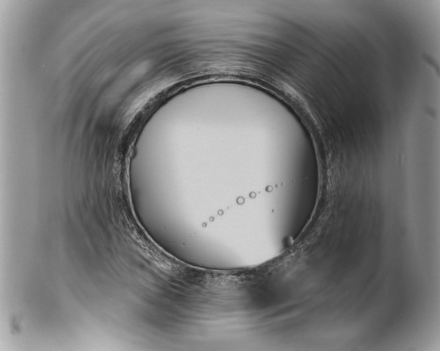 X0000100871019200807071057