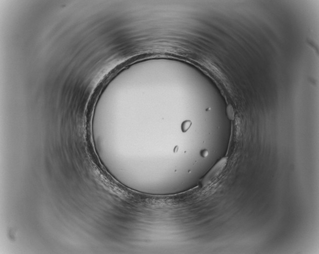 X0000100871020200807071057