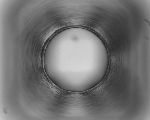 X0000100871023200807071057