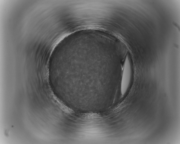 X0000100871024200807071057