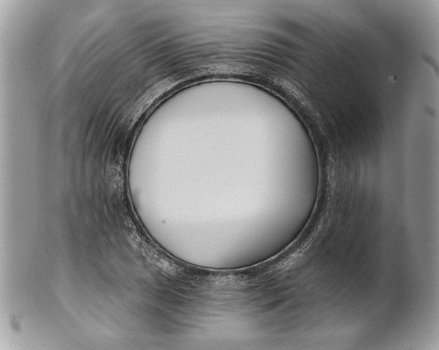 X0000100871025200807071057