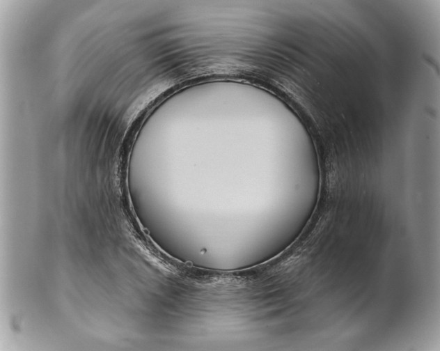 X0000100871026200807071057