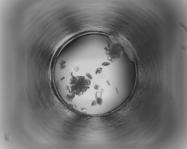 X0000100871028200807071057