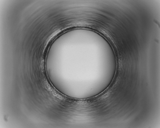 X0000100871029200807071057