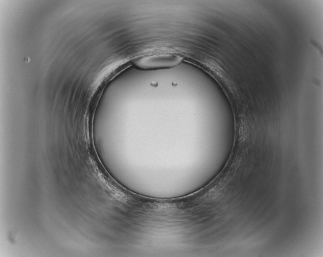 X0000100871030200807071057